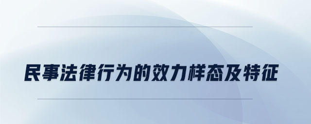 民事法律行为的效力样态及特征