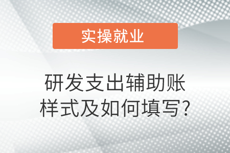 研发支出辅助账样式及如何填写?