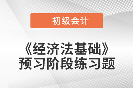 会计账簿的基本规定_2023年初级会计《经济法基础》预习阶段习题