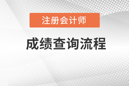 广东省广州注册会计师cpa成绩怎么查询？