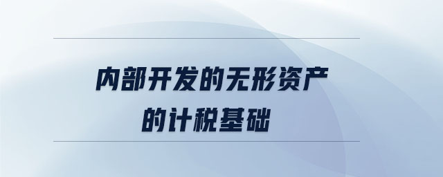 内部开发的无形资产的计税基础