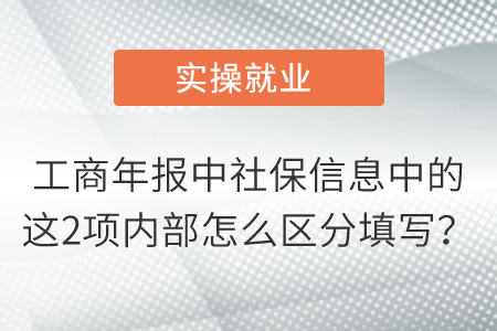 工商年报中社保信息中的这2项内部怎么区分填写？