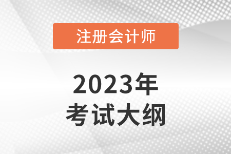 2023年注会考试大纲什么时候出来？