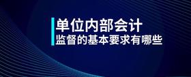 单位内部会计监督的基本要求有哪些