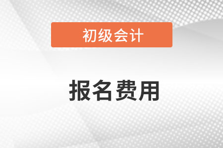 初级会计师2023年报名需要多少费用