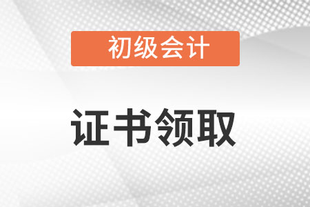 初级会计师证书查询官网