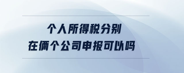 个人所得税分别在俩个公司申报可以吗