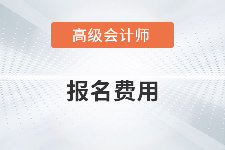 广东省2023年高级会计师考试报名费用公布