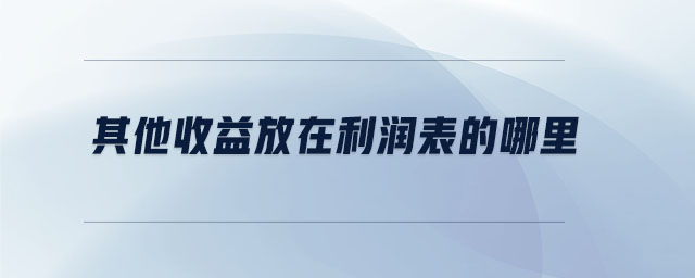 其他收益放在利润表的哪里