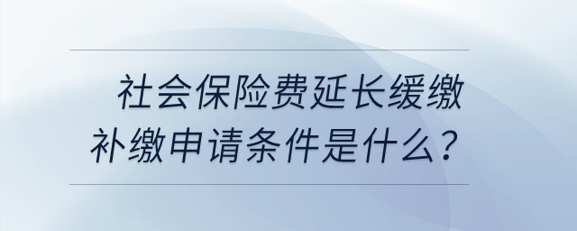 社会保险费延长缓缴补缴申请条件是什么？