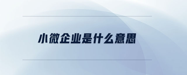 小微企业是什么意思