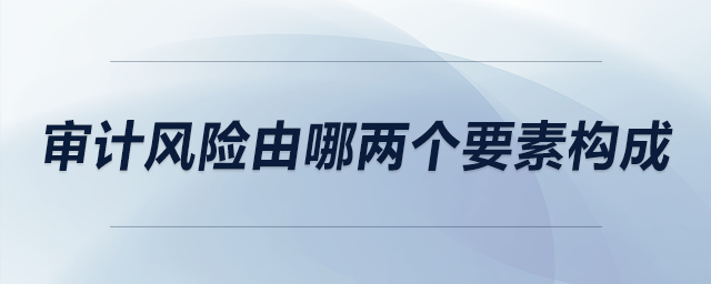 审计风险由哪两个要素构成