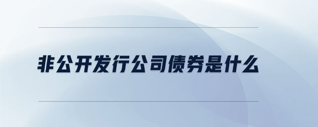 非公开发行公司债券是什么