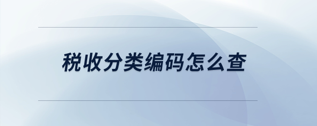 税收分类编码怎么查？