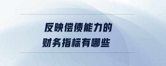 反映偿债能力的财务指标有哪些