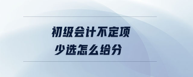 初级会计不定项少选怎么给分