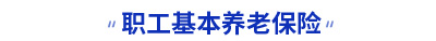 初级会计职工基本养老保险知识点