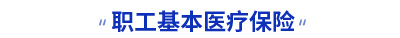 初级会计职工基本医疗保险考点