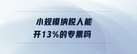 小规模纳税人能开13%的专票吗