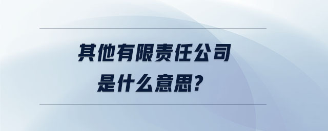 其他有限责任公司是什么意思