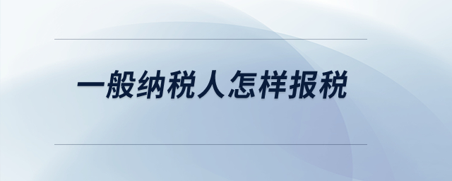 一般纳税人怎样报税？