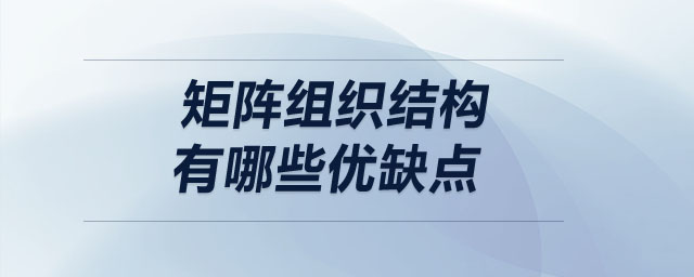 矩阵组织结构有哪些优缺点