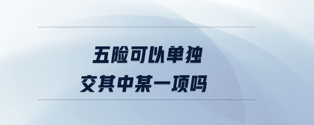 五险可以单独交其中某一项吗