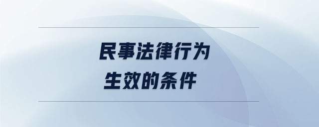 民事法律行为生效的条件