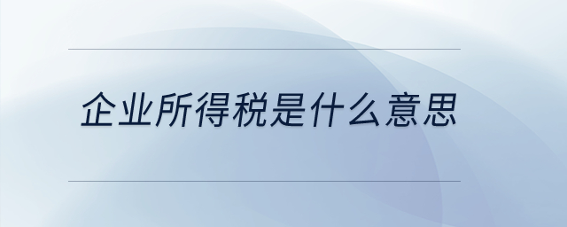 企业所得税是什么意思？