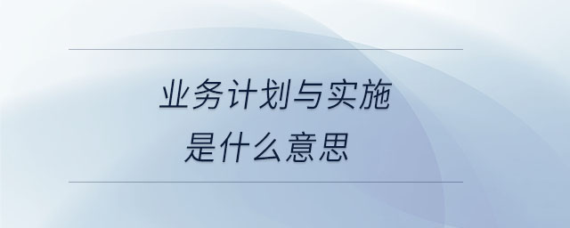 业务计划与实施是什么意思