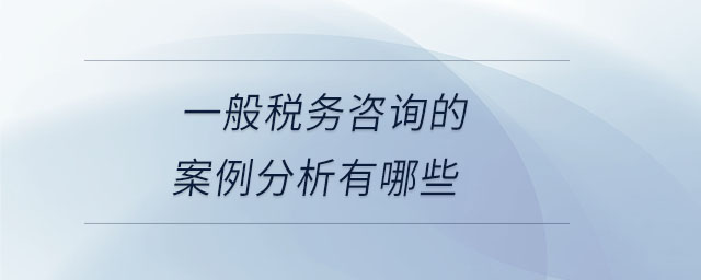 一般税务咨询的案例分析有哪些