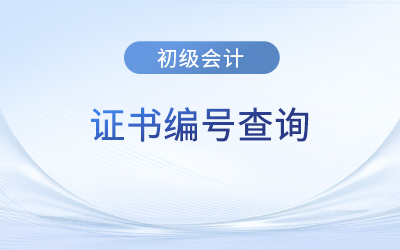 初级会计证书编号是哪个？在哪查询？