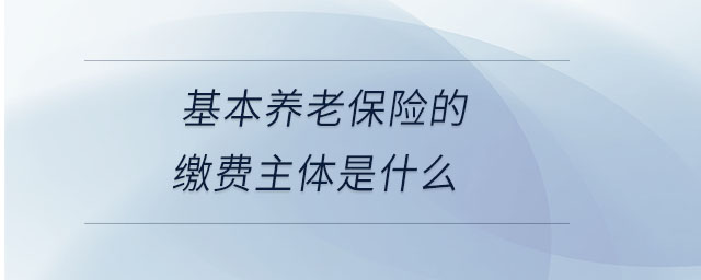 基本养老保险的缴费主体是什么