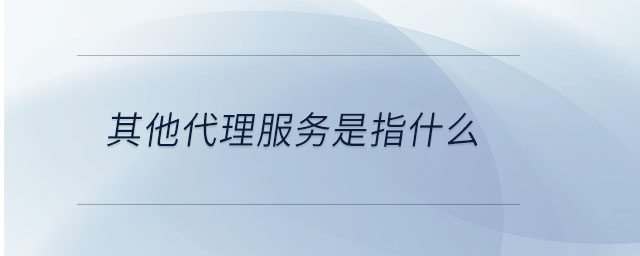 其他代理服务是指什么