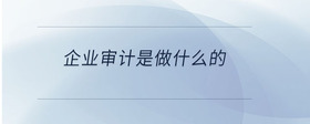 企业审计是做什么的