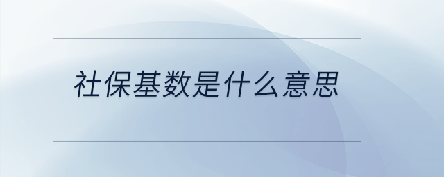 社保基数是什么意思？