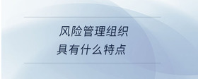 风险管理组织具有什么特点