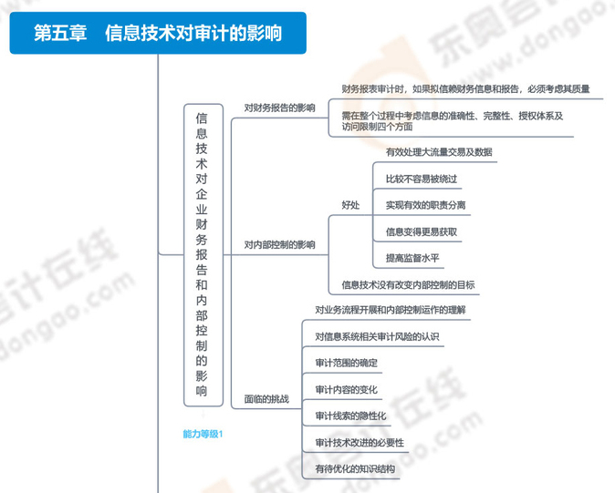 第五章信息技术对审计的影响_01