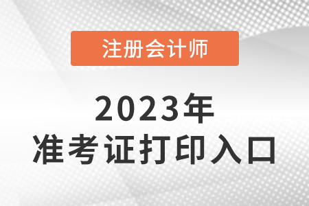 cpa考试准考证打印入口能看么？