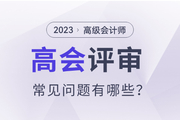 2023年高级会计师评审常见问题有哪些？