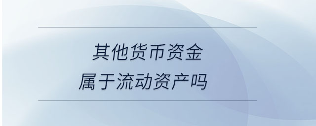 其他货币资金属于流动资产吗