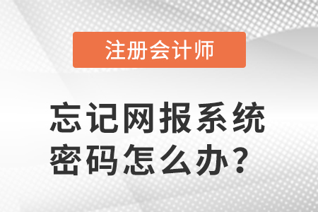 网报系统密码忘了，如何打印注会准考证？