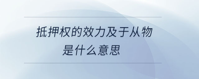 抵押权的效力及于从物是什么意思