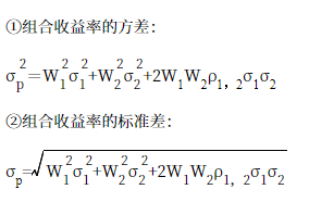 组合风险衡量指标