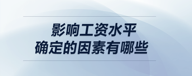 影响工资水平确定的因素有哪些