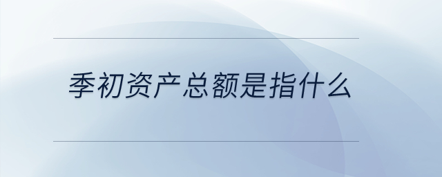 季初资产总额是指什么？