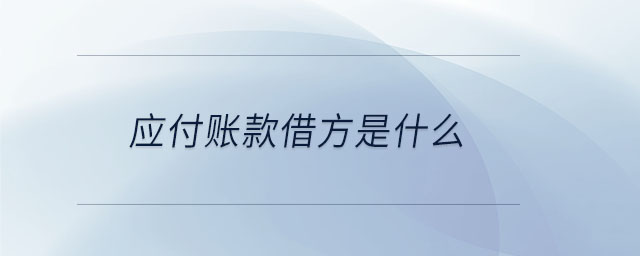 应付账款借方是什么