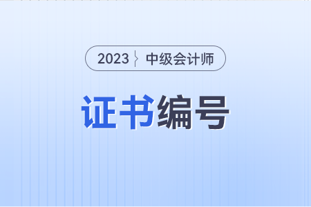 中级会计证书编号怎么查啊？