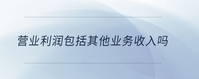 营业利润包括其他业务收入吗