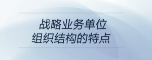 战略业务单位组织结构的特点